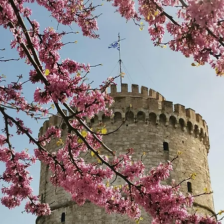 55 Egnatia